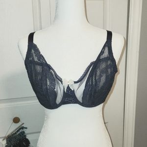 EUC Passionata lace and mesh 34DD Bra